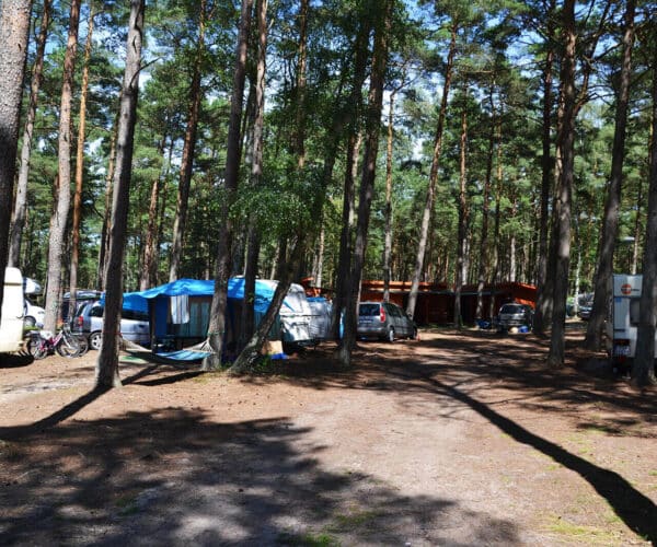 Pole namiotowe Leśny Zakątek w Pogorzelicy