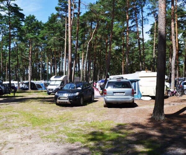 Pole namiotowe - 13